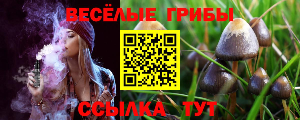 Галлюциногенные грибы GOLDEN TEACHER Нягань
